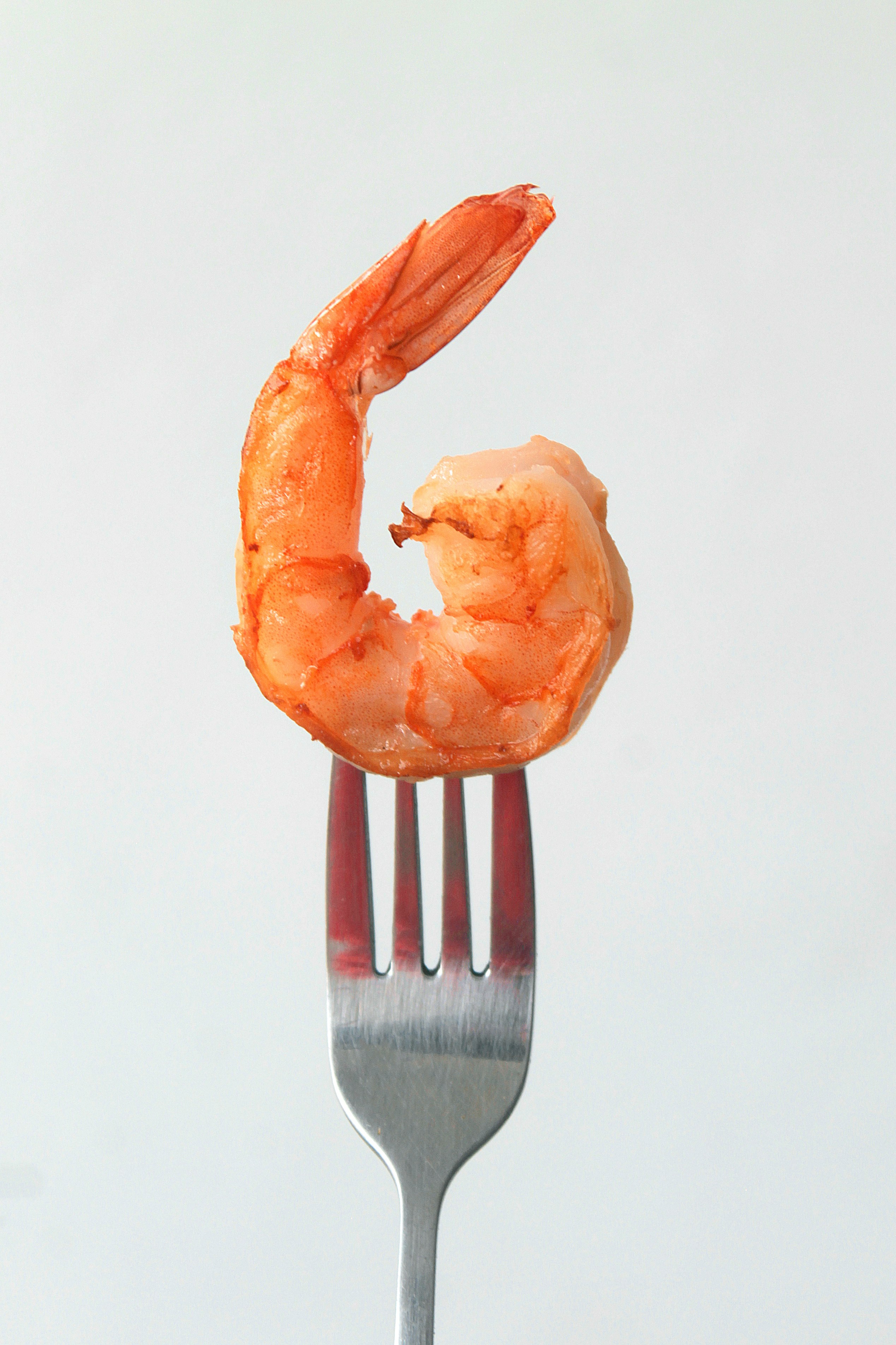 Shrimp Is in the Sustainable Seafood Spotlight