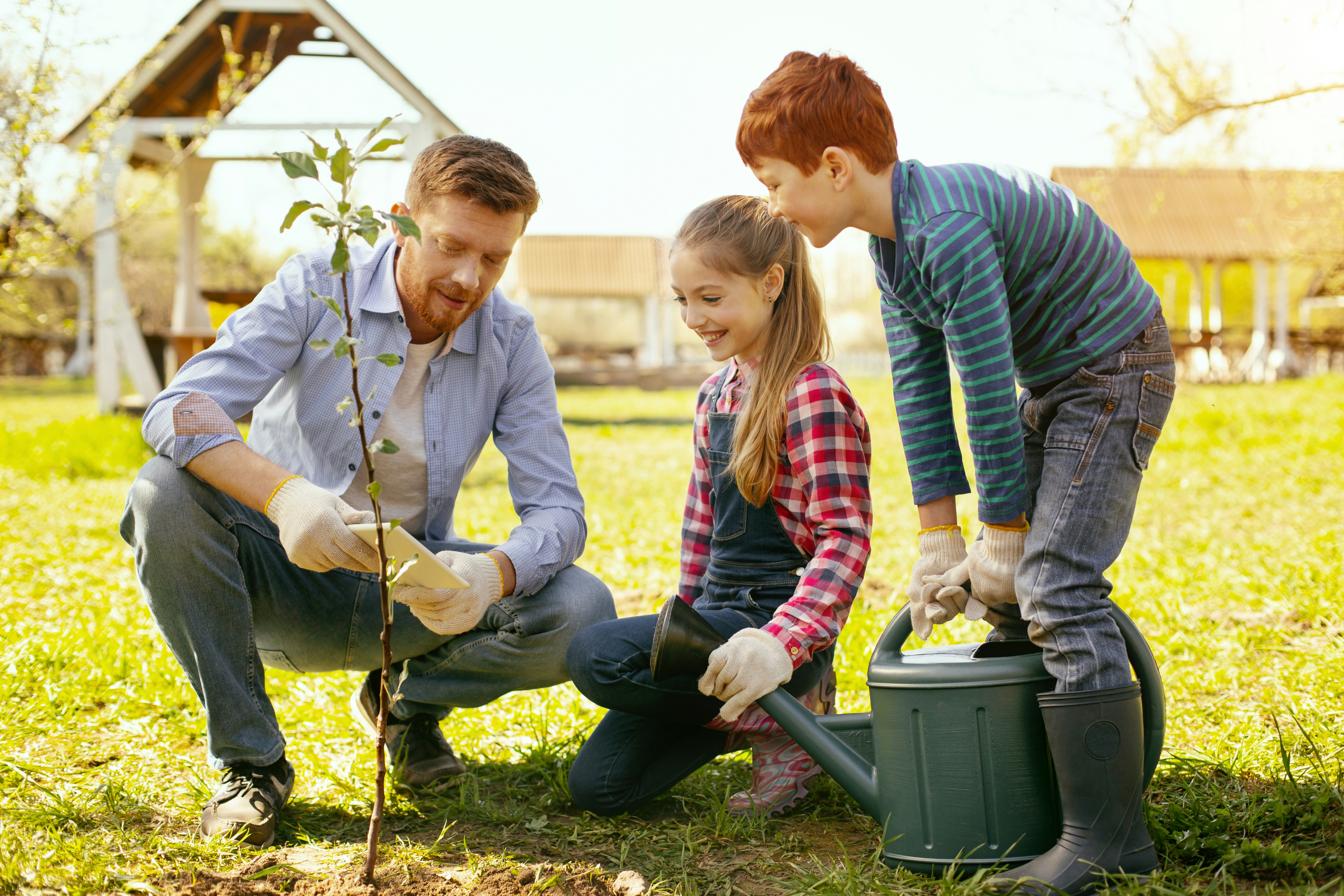 Plant One Tree, Cut Home Energy Use