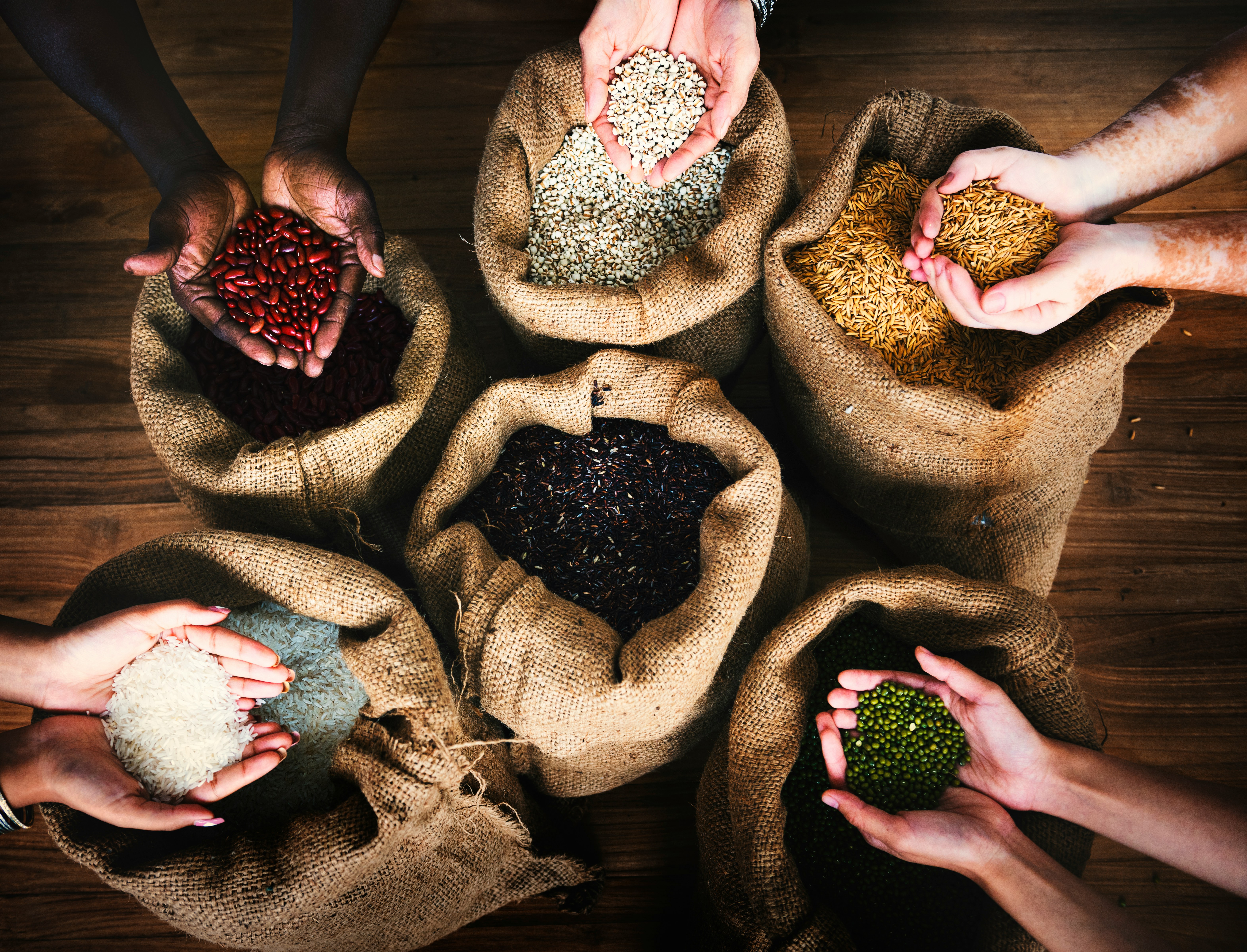 One Seed, Many Seasons: How to Grow a Garden That Endures illustration