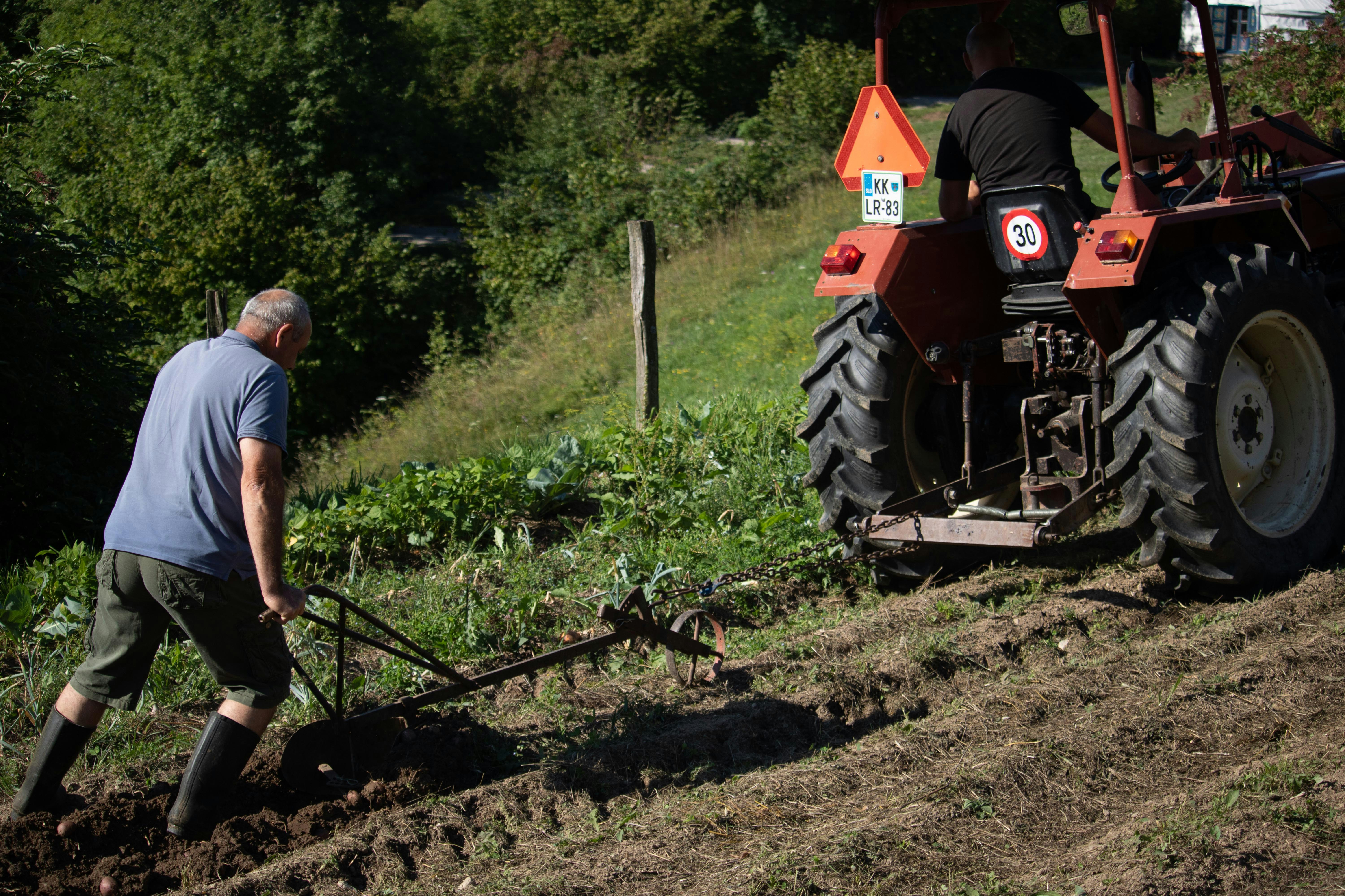 Less Work, Better Dirt in Your Garden illustration